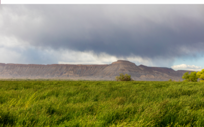 Agriculture: The Backbone of Western Colorado’s Economy